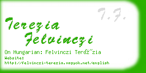 terezia felvinczi business card